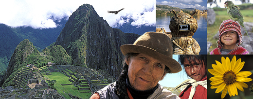 Visions Of Peru - Photo Collage